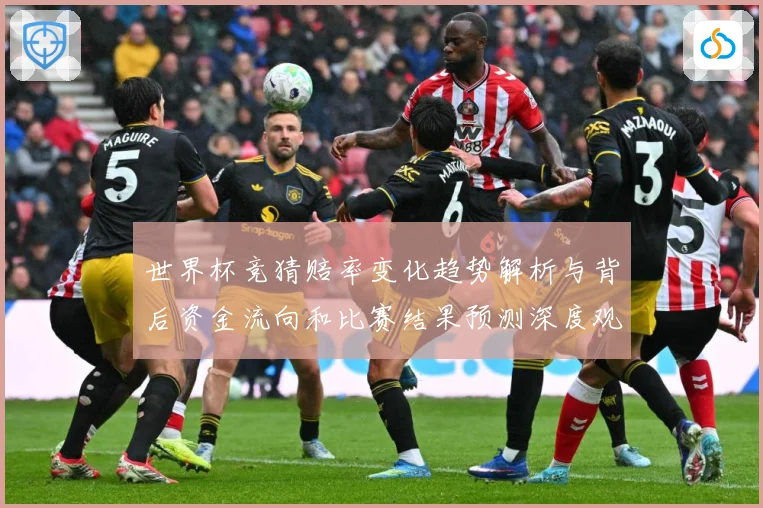世界杯竞猜赔率变化趋势解析与背后资金流向和比赛结果预测深度观数据研判-深度解析