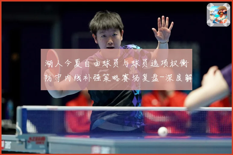 湖人今夏自由球员与球员选项权衡防守内线补强策略赛场复盘-深度解析