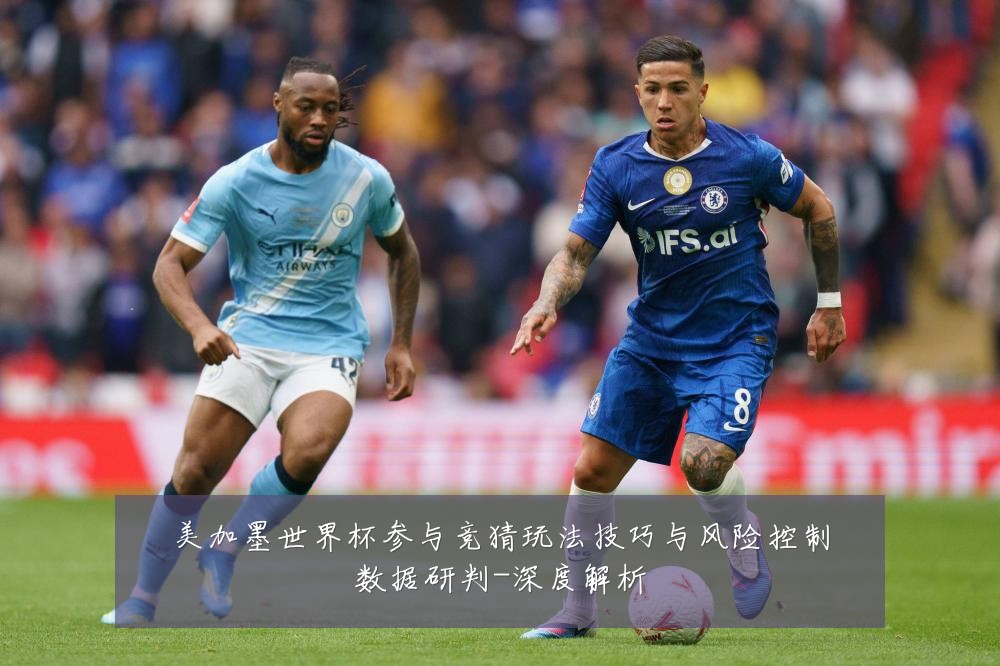美加墨世界杯参与竞猜玩法技巧与风险控制数据研判-深度解析