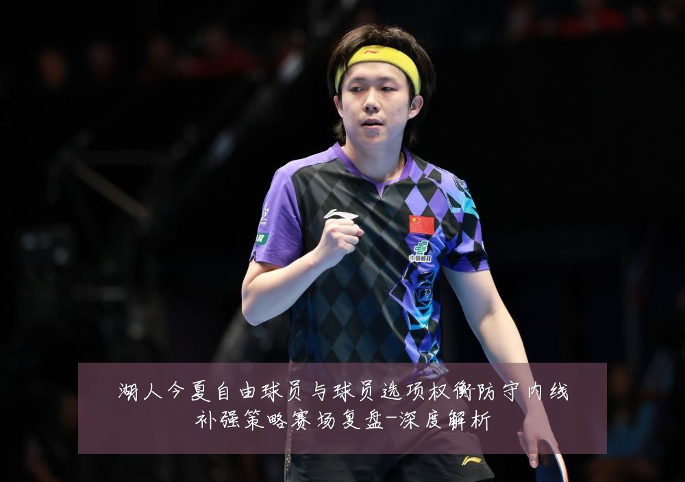 湖人今夏自由球员与球员选项权衡防守内线补强策略赛场复盘-深度解析