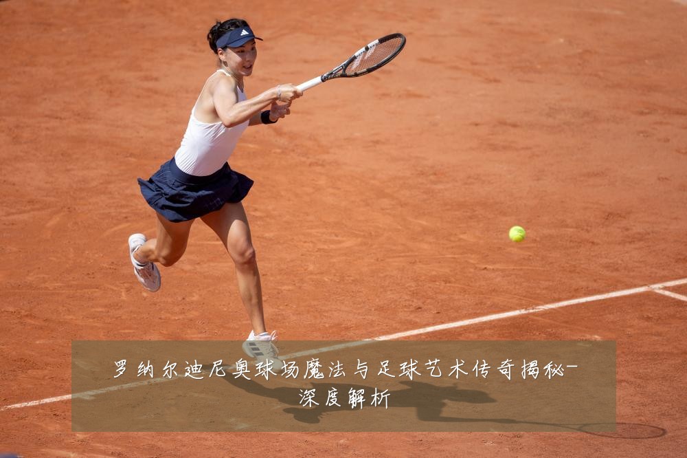 罗纳尔迪尼奥球场魔法与足球艺术传奇揭秘-深度解析