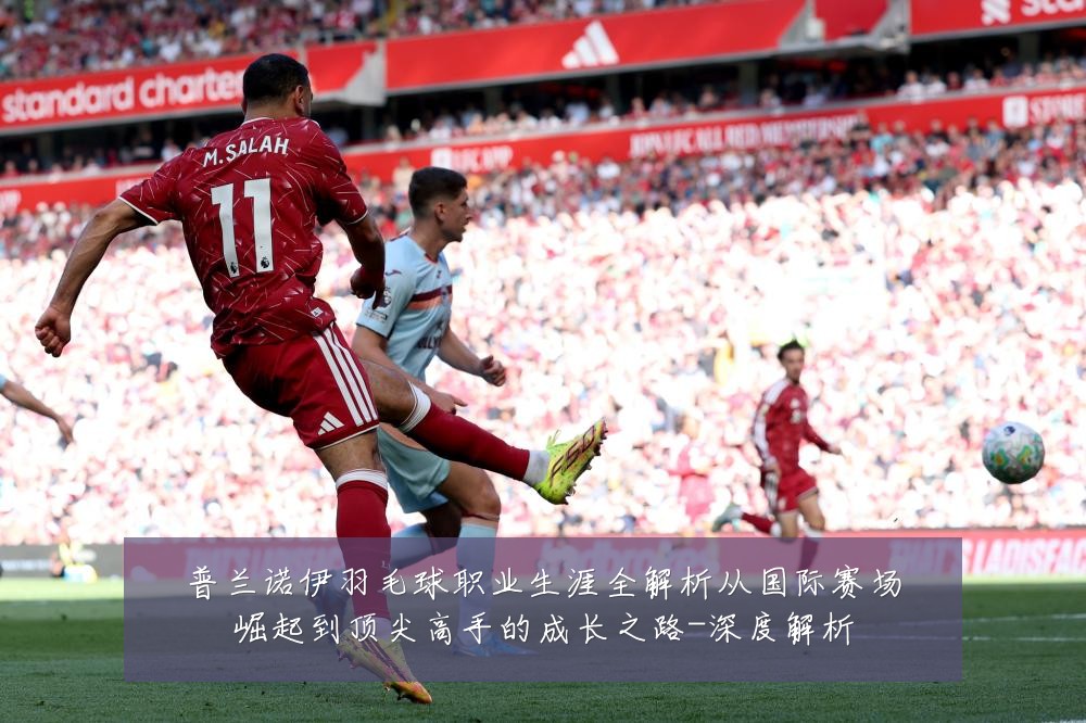 普兰诺伊羽毛球职业生涯全解析从国际赛场崛起到顶尖高手的成长之路-深度解析